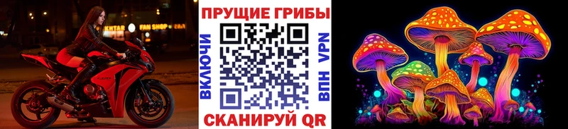 Галлюциногенные грибы Psilocybe  Купить  Электросталь 